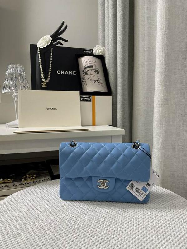 Chanel Handbags 170